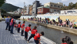 해운대구 반송2동, 반송천 살리기, EM흙공 던지기 행사 개최