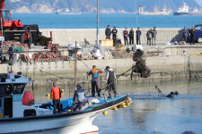 [포토뉴스] 한무더기 올라오는 바다 쓰레기