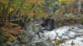 [합천 해인사 소리길] 걸어온 길 돌아보니, 걸어갈 길 보이더라