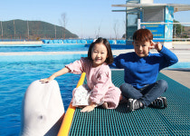 거제씨월드 연간회원권 거제&통영시민 특가