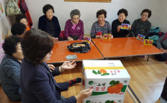 서대신4동, 경로당에 사랑의 띠잇기 지정 기탁 대봉감 전달