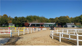 진주 수곡면에 경남승마훈련원 개장