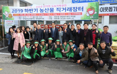 괴정4동, 하반기 농산물 직거래 장터 운영