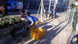 수영구 광안2동 바르게살기운동위원회, 가을초화 식재 및 환경정비 활동
