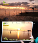 2TV 생생정보 무안군 청계면 나무그네·낙지골목-목포 해상케이블카·시화골목…미스터Lee 사진한컷