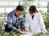 국립종자원-네덜란드 낙타운바우 업무협약