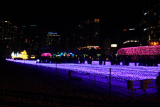 [부일 청소년 리포트] 해운대의 밤, 형형색색 화려한 불빛 속으로