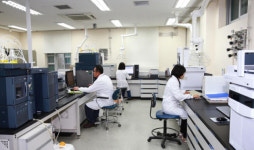 울산시, 경매 전 농산물 4건 잔류 농약 초과로 전량 폐기
