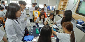 ‘서울대 수시 합격 부산 최다’ 주목받는 사하·기장 두 고교