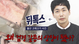 [뒤톡스] 검경 갈등의 대명사, 울산 고래고기 사건이 뭐길래