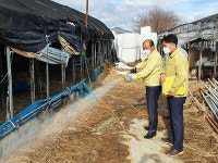 부산농협, 축산농가·시설에 대한 일제소독 실시