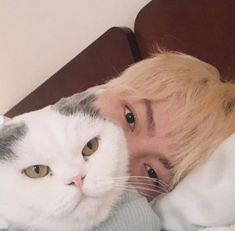 안재현 반려묘 안주와 나른한 일상
