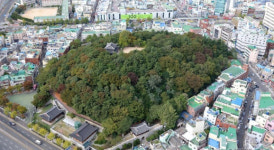 부산진성 이어… ‘자성대’ ‘동구’ ‘부산진구’ 제 이름 찾기 목소리