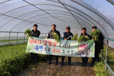 창원 천주산 자락에서 청정 미나리와 삼겹살 맛 보세요