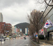 다대로 “태극기 휘날리는 길” 조성