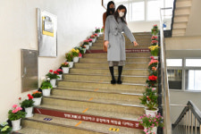해운대구, 코로나19로 위축된 화훼단지 지원