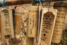 [거제 맹종죽 테마파크] 하늘 가린 대나무숲 따라 발길 닿는 대로