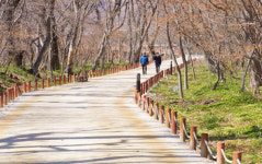 이른 봄 맞으러 가는 길… 함양 상림공원