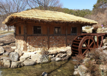 이른 봄 맞으러 가는 길… 함양 상림공원