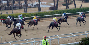 경마공원 조교사 김해 하천서 숨진 채 발견… 최근 부산경찰청 조사 받아
