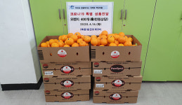 민락동 행복식당 백산마을에 오렌지 400개 지원