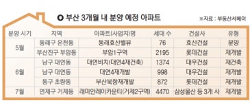 저금리·반등 기대… 부산 분양시장 ‘나홀로 활활’