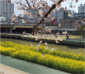 동래구, 온천천 가로수 미술관 운영을 위한 전시작품 수상작 발표