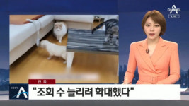 수의대생 유튜버 갑수목장의 두 얼굴 조회수 늘리려 동물학대