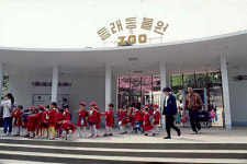 옛 사진으로 보는 그 시절 부산의 동물원