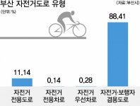 자전거도로 달릴 전동킥보드, 인프라 뒷받침 안 돼 지뢰밭