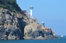 선상서 낚는 싱싱한 부산…관광유람선 자갈치 크루즈