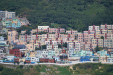 선상서 낚는 싱싱한 부산…관광유람선 자갈치 크루즈