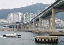선상서 낚는 싱싱한 부산…관광유람선 자갈치 크루즈