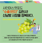 샤인머스켓 집중 지원 김천시, 수출 경진대회서 대상