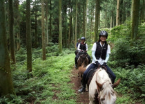 농식품부 “코로나로 지쳤다면 농촌체험마을 오세요”