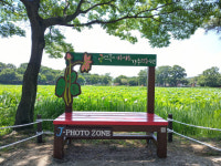 진주 강주연못공원에 J-포토존 설치