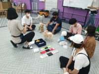 해운대구, 장애인복지관과 함께 ‘다담은 펫샵(pet shop)’ 운영