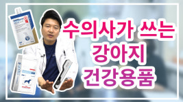 [영상] 4년차 반려인, 동물병원 원장님이 반려견에게 먹이는 사료는?