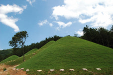 사적 제94와 95호인 양산 신기리와 중부동 고분군 정비된다.