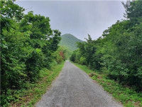 양산국유림관리소, 성묘객 편의 위해 부울경 지역 국유임도 62km 개방