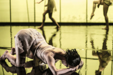 온라인으로 펼쳐지는 부산국제무용제