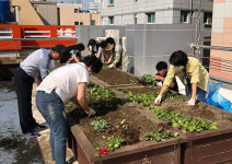 부산 중구 영주1동 주민센터, 옥상쉼터 텃밭 가꾸기 모종심기