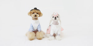 소노펫클럽&리조트 가족 반려동물과 함께하는 추석 펫캉스 패키지 출시