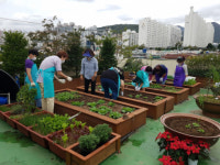 연산5동, 가족과 함께 하는 텃밭 가꾸기 체험 행사 실시