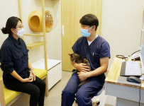 [펫 닥터] UN동물의료센터-고양이 염증성 폴립