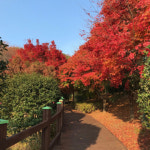 진해드림로드, ‘한국관광공사 가을 비대면 관광지 100선’ 선정