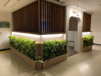 연제구, 구청사 내 실내식물조경시설 설치