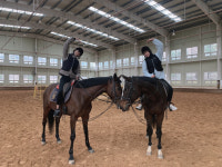 골든쌔들 리조트 앤 풀빌라, 오픈 기념 승마체험 프로모션 진행