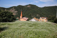 충북 보은 구병마을, 행복농촌만들기 대상…농어촌공사 현판 전달