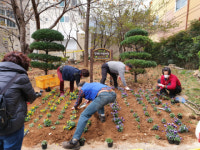 광안4동, 꽃향기 가득한 푸른 마을 조성사업 실시